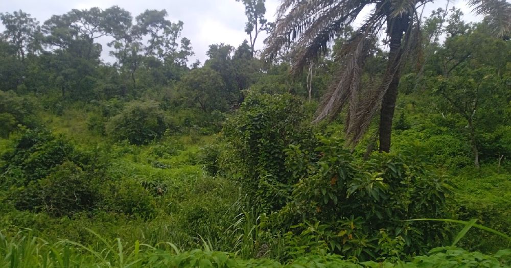 Key points: Malang Weather Explained: Seasons, Temperatures, and What to Expect